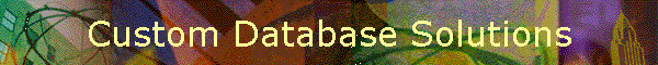 Custom Database Solutions